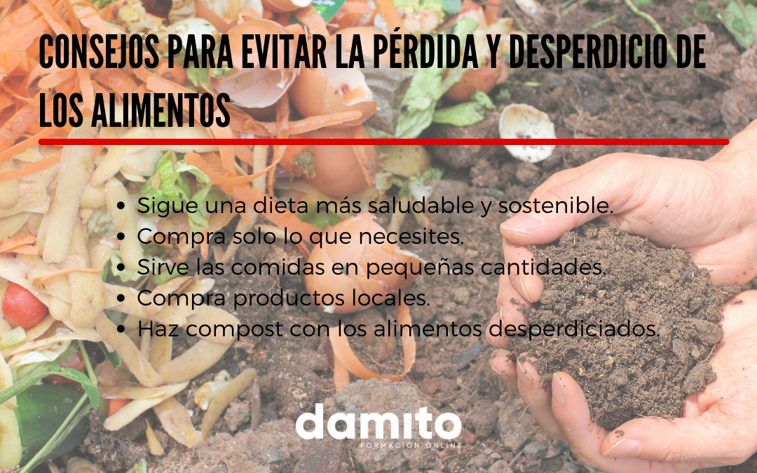 Reducir el Desperdicio de Alimentos * 5 Consejos para Mejorarlo*