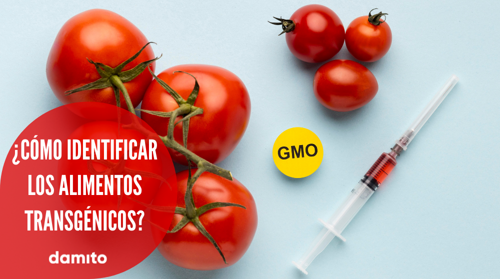 3 formas de distinguir los alimentos modificados genéticamente