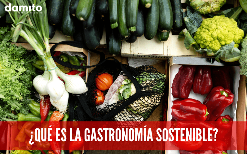 ¿Qué es la gastronomía sostenible?