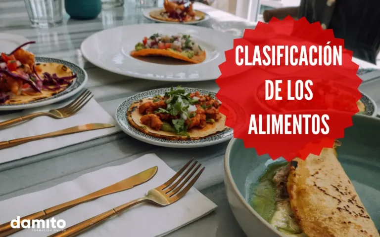 cómo clasificar los alimentos y qué es la rueda de los alimentos